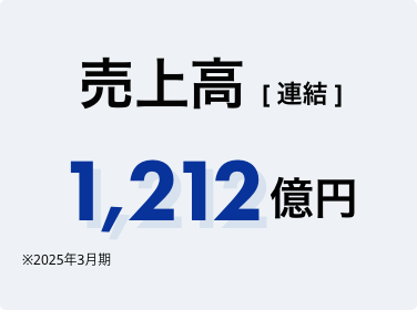 売上高（連結）