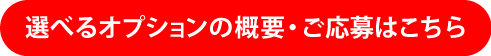 選べるオプションの概要・ご応募はこちら